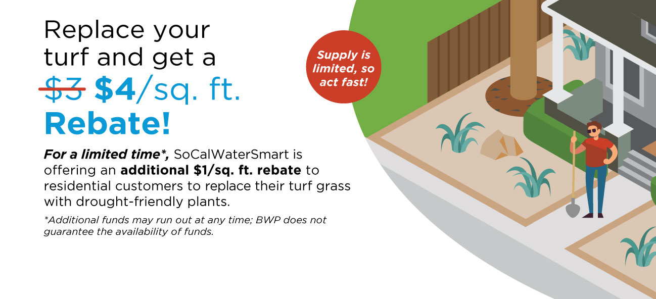 Turf Promo